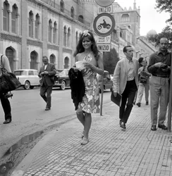 ヴェネツィア・リド国際映画祭での女優クラウディア・カルディナーレ - 1965年
