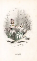 シャルル・ジェフロワ（1819-1882）作、ジャン・イグナス・イシドール・ジェラール（J.J.J.グランヴィル、1803-1847）の「Les fleurs animees」の挿絵に基づく。