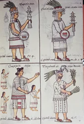 Tzapotlatena, Chalchiuhtlatonal, Cioapipitli and Tliltecuhtli, Florentine Codex, Bilingual version in Spanish and Nahuatl, General History of Things of New Spain (Historia general de las cosas de Nueva Espana), Aztec