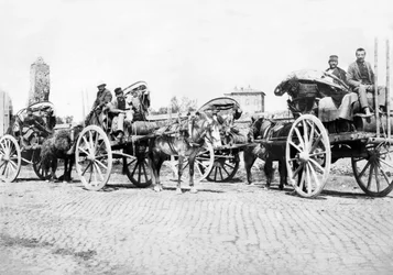 イギリス : 葡萄畑のワインカート。フランス、1890年