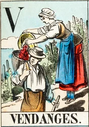 V Vendanges - "Alphabet of the farm" 19世紀末 (e.g. engraving)