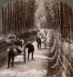 1904年京都府清水近くの南西を望む竹道