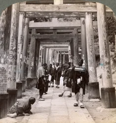 聖なる鳥居の長い列の下を行き来する、稲荷神社、京都、1904