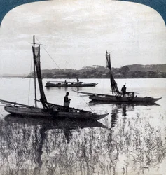 1904年、日本の横浜近郊に日没で帰ってくる漁船。