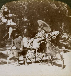 祈りに向かう途中で神聖な鹿に餌をやる少女、春日寺の敷地、奈良、1904