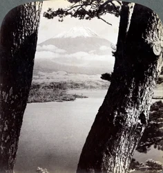 1904年、本栖湖の松を北西から見た富士山