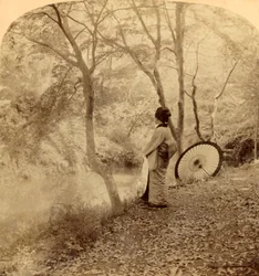 日本の秋のゴールデンデイズ、1896年。