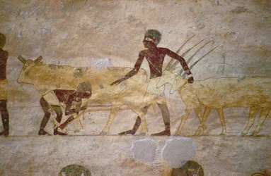 牛とガゼルの行列、墓壁の絵からの細部、エジプト、古から中王国（石灰岩塗装）
