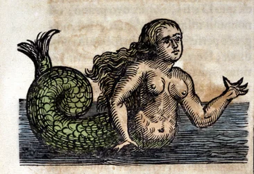 伝説上の人物、セイレーン - イエズス会士、東洋学者、ドイツの学者アタナシウス・キルヒャー（1601 - 1680）の著作からの版画