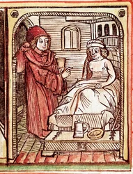 医師が患者に薬草を用いた治療を施す。『疫病論』からの版画、15世紀 - プラハ、国立図書館
