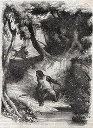 泉のほとりのアストルプ-ルドヴィコ・アリオストの「激情のロラン」（Orlando furioso）（16世紀）より1851年の版画、通称「アリオスタ」-トレッサン伯爵がイタリア語から翻訳し、ギュスターヴ・ハーヴァードが出版した版。