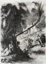 グリフォンとアキラントのオルレとの戦い-1851年の版画（ルドヴィコ・アリオストの「激情のロラン」（Orlando furioso）（16世紀）より）、通称「アリオスタ」-トレッサン伯爵がイタリア語から翻訳し、ギュスターヴ・ハーバードが出版した版。
