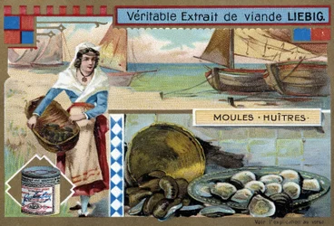 ムール貝と牡蠣のコレクション - Chromo.Liébig, v.1900