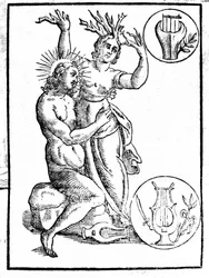 アポロに追われたダフネは月桂樹に変えられる - Natalis Comitis "Mythologiae sive explicationis fabularum... "のエングレーヴィング。パタヴィア