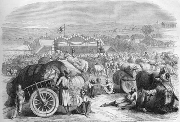イギリス領インド1872年。カンガオンの綿花市場