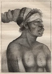 アントワーヌ・ブルーニ（Bruni）・ダントルカストー（1737-1793）の遠征で、1791年にジャン・フランソワ・ガラップ・ド・ラ・ペルーズ（1741-1788）を捜索：ニュー・ホランド（オーストラリア）のタイプ（腕と胸に瘢痕） - 図版は「The Grands Mariners of the Th.