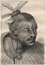 キャプテン・ジェームズ・クック（1728-1779）の第一回目の航海（1768-1771）：ネオ・ゼランディス（Neo Zelandais）の刺青された頭部 - イラストは "The Great Mariners of 18th century "より引用