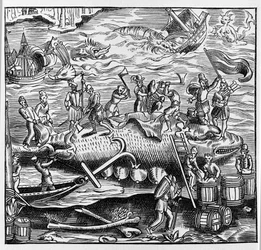 テーベの「万国宇宙誌」の木版画をもとにした漁業と捕鯨。1575年パリ
