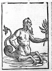 海の中で生きられるようになる魔法の草を持つグラウコス - Mythologiae sive explicationis fabularum de Natalis Comitis.パタヴィア
