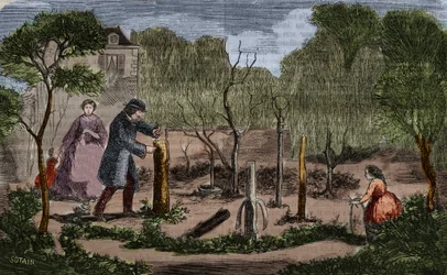 園芸：植物の移植の主な方法。1860年の彫刻。
