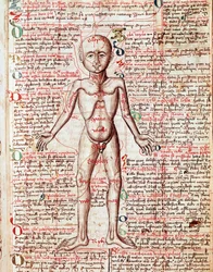人体 15世紀「Tractatus de pestilentia」からのエングレーヴィング - プラハ、国立図書館
