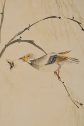 華城堂