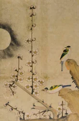 華城堂