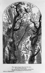 詩人ジョン・キーツ（1795-1821）の「ナイチンゲールに捧げる歌」の挿絵 19世紀