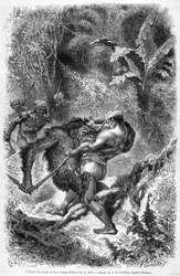 1862年に出版された「Le Tour du monde」に掲載された、ボルネオ島でのダヤック族とオランウータンの戦いを描いたイラスト。エングレーヴィングです。