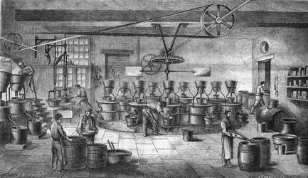 ボルドーのルイ・フレール社でのマスタードと缶詰の製造。1865年に描かれたもの。