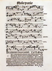 マルガリータ・フィロソフィカの音楽理論のページ