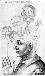 ロバート・フラッド（Robertus de Fluctibus）の『Collectio Operum』に掲載された人相学の画像（骨相学）。ロンドン 1617年