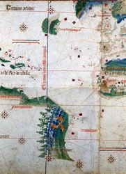 アルベルト・カンティーノの平面図1502年にアルベルト・カンティーノが作成した地図で、トルデシリャス条約（1494年）で定められたポルトガルとスペインのアメリカ大陸の境界線を表している。ビブリオテカ・エステンセ。モデナ