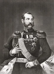 ロシア皇帝アレクサンドル2世ニコライエヴィチ（1818～1881年）の肖像。