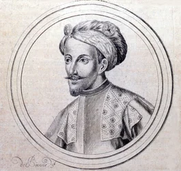Samuel Guichenou著『Genealogique Histoire de la royale maison de savoye』（Lyon 1660年）に掲載されている、Amedee V de Savoie dit Le Grand (1249 - 1324) (Amedeo VI di Savoia detto il Grande)の肖像。