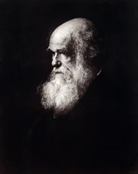 チャールズ・ロバート・ダーウィン（1809-1882）の肖像