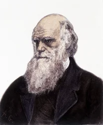 チャールズ・ロバート・ダーウィン（イギリスの博物学者）の肖像（1809-1882