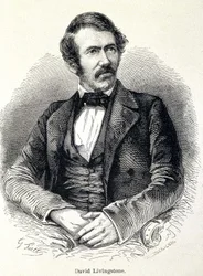 スコットランドの宣教師、デイヴィッド・リヴィングストン（1813-1873）の肖像