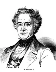 フランスの画家、ユージン・シュブルイユ（1786-1889）の肖像。