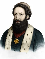 フランスの植物学者、ジョセフ・ピトン・ド・トゥルヌフォール（1656-1708）の肖像。