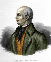 イタリアの生物学者ラザロ・スパランツァーニ（またはスパランツァーニ）の肖像（1729～1799年