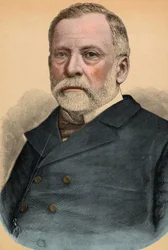 フランスの化学者・生物学者であるルイ・パスツール（1822-1895）の肖像。