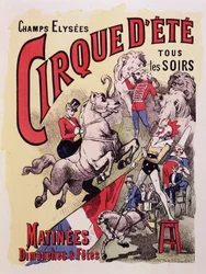 Cirque d