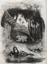 アルチーナ島のルッジェーロ - 1851年、ルドヴィーコ・アリオストの詩「Orlando furioso」（1516年）からの版画 - トレッサン伯爵がイタリア語から翻訳し、グスタフ・ハーバードが出版した版 1851年