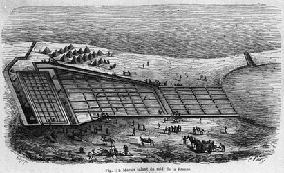 塩の生産：南フランスの塩湿地の風景、1880年の刻印