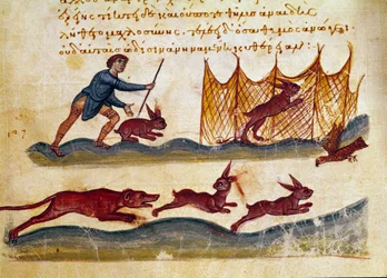 ウサギを狩る場面 シリアのオッピアン（Oppian or Oppianus）（紀元3世紀）がカラカラに献上した狩猟貿易「The Cynegetics」から抜粋したミニチュア。11世紀 ヴェネツィアマルシアーナ図書館