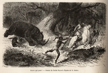 著者と案内人たちを捜索中の狩人たちをなぎ倒して追い詰めるサイの突進。1861-62年にサー・サミュエル・W・ベイカーが行ったナイル川のアビシニア支流探検を描いた版画、『ル・トゥール・デュ・モンド』掲載