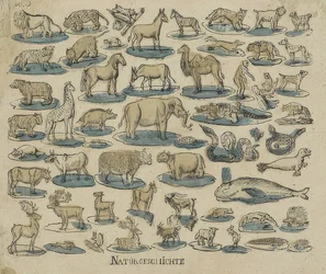 動物。 1750-1800