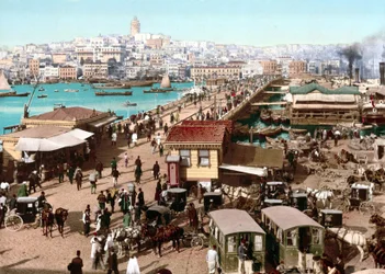コンスタンティノープルの眺め。フォトクローム v. 1890年