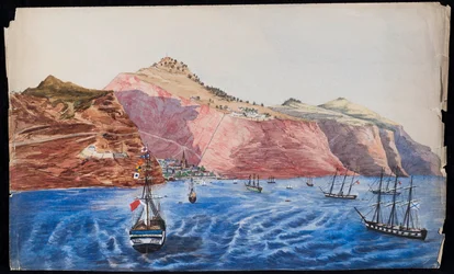 セントヘレナ、ジェームズタウンの眺め、1850年頃（紙にトイレ）